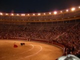 Madrid bull fight under the the lights.