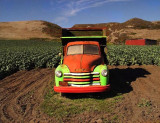 Old truck in Strawberry Farm, Davenport