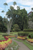 Kandy Botanical Gardens.jpg