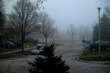 DSCF5132.jpg