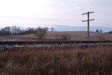 DSCF0125.jpg