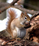 DSCF0425.JPG