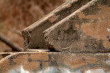 DSCF0526.jpg