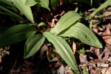 DSCF0849.jpg