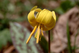 DSCF0900.jpg