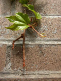 DSCN0122.JPG