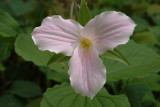 DSCF0988.jpg