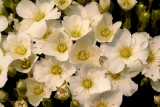 DSCF1047.jpg