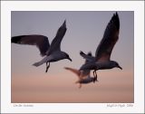 On the Sunrise