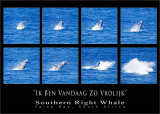 Breaching Whale Series.jpg