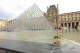 Ducks, pyramide and the Louvre