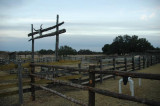 carter ranch 11.jpg