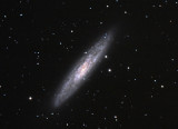 NGC 253 in Sculptor