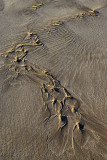 April : Flowing Sand Pattern