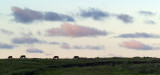 Horses on a hilltop, near Ahu Tongariki.
