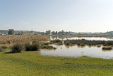 Algérie - Lac aux Oiseaux