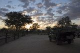 Thornybush