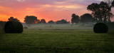 Sunrise on the Farm