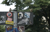 Bird on Sign