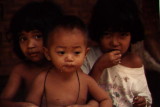 Lombok Children