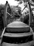 Bridge in the Wild Garden