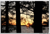 Golden Lake sunset.jpg