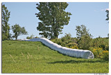 Modern round bale storage.jpg