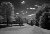 IR Backyard_5125.jpg