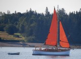 Gaff-rigged Sloop Sailing Out