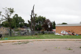 IMG_6433 copy.jpg