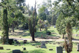 IMG_6645 copy.jpg