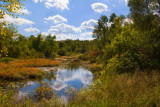 Signs of Autumn