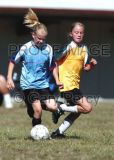 soccer15_8170.jpg