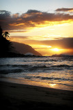 Tropical Sunset