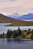 Mt. Cook