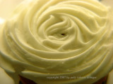 1.21.07 cupcake