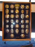 California State agency badges
