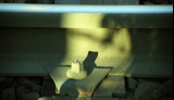 26.01.2007