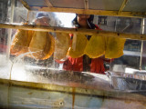 Empanadas #11477
