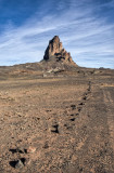 El Capitan (Arizona) DSC_7316