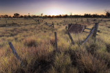 Old yards, twilight. Moorinya DSC_8482