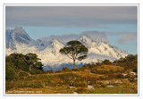 Canal de Beagle