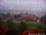 Rainy Fall Day in Louisville.
