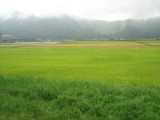 Japanese countryside