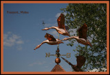 August 15, 2007  0265