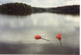 Buoys