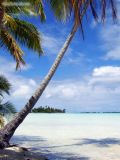 Blue lagoon(5), Rangiroa