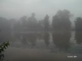 A Really Foggy Morning