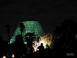 San Antonio Botanical Garden