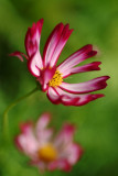 erDSCF2881.jpg